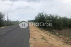 Dịch covid bán gấp đất đang đầu tư 3020m lê quang định, xã tân bình, thị xã lagi 11 tỷ