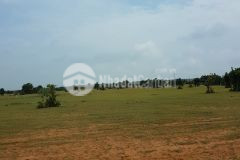 Bán đất nông nghiệp hồng thái, hoà thắng, thị trấn chợ lầu, bình tân sổ sẵn lh 0938677909 hiền