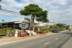 Thổ cư cực vip trung tâm đinh văn, sổ riêng, giá đầu tư