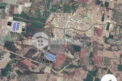 Dịch covid cần sang nhượng lại trại heo hậu bị hàm tân đang cho thuê 29 tỷ