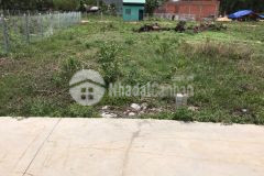 Bán đất tại ấp chánh hiệp thạnh gò dầu 310m2 chỉ 450 triệu