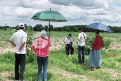 Đất sổ hồng riêng, sang tên công chứng ngay.