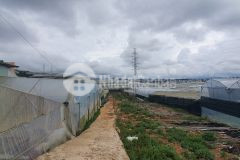 550 triệu mua được đất không mua được ngay nền đất gần 70m2 đường xe hơi chứ ạ