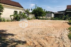 Đất kiệt đẹp tân trào thủy châu thổ cư 100