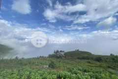 Bán nhanh mảnh đất vàng 1200m mò phú chải y tý giá cực sốc