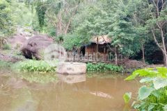 Bán triền đồi hơn 5ha xã ninh tân giá chỉ 1 tỷ lh 0788.558.552