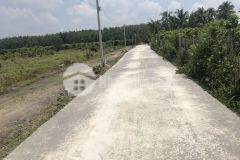 Đất đẹp 5m x 31m sổ hồng riêng giá chỉ 260 triệu