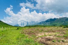 Bán đất xã ninh tân gần đường nhựa rộng 5ha giá rẻ lh 0788.558.552