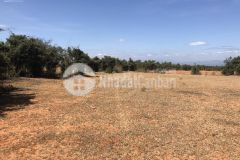 Bán lô đất 10000m2 hòa thắng cách dt716 chỉ 1,7km, có đường thể hiện trên sổ, liên hệ0919 626 750