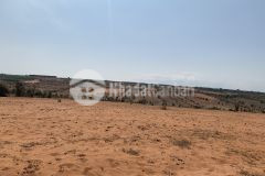 Sào 7647m2 đất xã hồng thái cách liên huyện 150m, cách kênh nước 200m, có đường trên sổ.