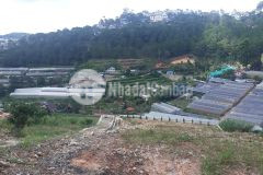 500m2 đất có view hẻm ford hùng vương, p11, đà lạt