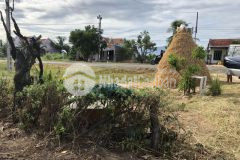 Bán đất đường ql26 có thổ cư rộng 1ha ninh tây giá rẻ lh 0788.558.552