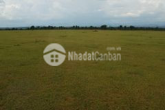 Bán lô đất trồng cây sổ đỏ xã hồng thái,chỉ 500 triệu 5894m2, bao sang tên