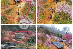 Cần tiền bán gấp mảnh đất đẹp nhất y tý