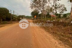 Cần bán gấp đất 1000m2 sổ sẵn giá 490 triệu đường chuẩn bị lên nhựa