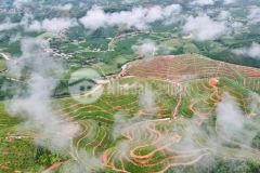 Trang trại sầu riêng 4000m2, chỉ 700 triệu tại đam rông lâm đồng