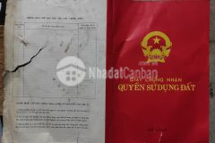 950 triệu sở hữu ngay hơn 600 m đất tại y tý sapa 2, lào cai. phù hợp làm homestay