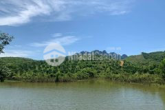 Bán đát bám hồ tại kim bôi hòa bình dt 4.4ha rsx