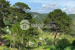 1091m2 thực tế lên đến 1300m2 có 300m2 xây dựng đất lớn ngay đầu đèo