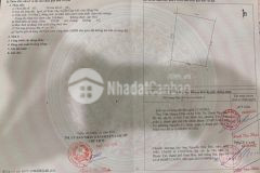 Bán đất mặt tiền xuân tây, cẩm mỹ giá chỉ 1.2 triệum2, sổ riêng có sẵn thổ cư.