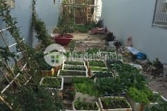 Tậu ngay nền đất liên kế ngay trung tâm phường 9 diện tích 90m2 giá mùa covid ạ