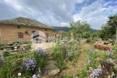 Bán đất y tý, diện tích 668m2, quy hoạch đất ở, giá chỉ vài trăm triệu