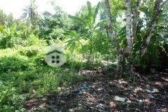 300m2 đất thổ cư p6 đường 4.7m