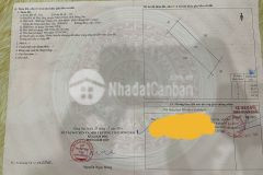 Phan văn đáng 2,6 tỷ 1000m2 cln gần cầu cát lái