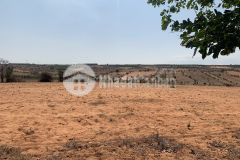 Bán 2ha3 đất mặt tiền đường hiện hữu 16m cách ql 1a 500m. tặng 1 cây vàng lh 0919 626 750