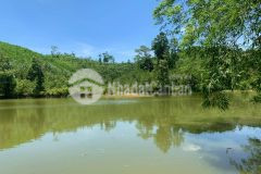 Bán đất bám hồ tại kim bôi hòa bình dt 7607m2 có 3700 đất ở