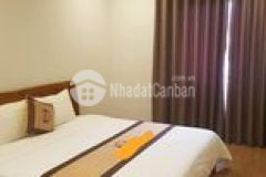 Homestay cầu giấy tổng hợp 28 căn hộ cho thuê doanh thu 400trth