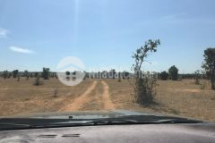 Bán đất vườn sổ hồng riêng giá 500tr huyện bắc bình, sổ hồng trao tay. tl thiện chí nhẹ