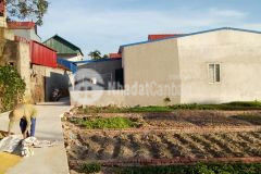 Thổ cư nở hậu tại hưng long mỹ hào hưng yên