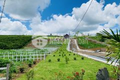 Bán đất thổ cư shr giá rẻ tại đường dt725 lộc ngãi bảo lâm lâm đồng giá 4trm2