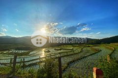 Bán mảnh đất 1900m2 tại y tý, có thổ cư,có sổ đỏ, điểm săn mây bậc nhất y tý