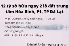 Bán 2 lô đất ngay trung tâm hòa bình đà lạt 12 tỷ2 lô
