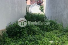 D979 cần bán lô đất hẻm ô tô nguyễn đình chiểu phường 9 tp đà lạt.