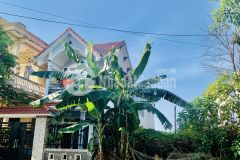 Siêu phẩm mặt tiền võ duy ninh vị trí ngay mặt tiền võ duy ninh, đường trải nhựa dt