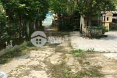 Đất đẹp tây trì nhơn ngang hơn 6m gần chợ mai, ô tô vivu giá chỉ 1,4x tỷ. lh 0858687880