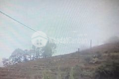 Em siêu phẩm 668m lao chải cần tìm chủ gấp ạ