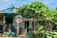 Bán đất mặt đường tỉnh lộ 2 giáp sông, có vườn trái cây