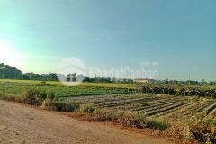 Bán đất kqh dương nổ cồn khu vực sắp lên thành phố lh 0346229509