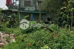 Bán gấp lô đât đẹp tây trì nhơn sau lưng chợ mai lh 0346.229.509