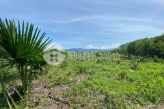 Bán đất 12ha xã khánh hiệp, khánh vĩnh có thổ cư đường nhựa lh 0788.558.552