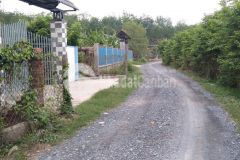 Đất shr 12x26 gia lộc tx trảng bàng tây ninh