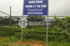 Bán bđs tại tiểu khu lê hồng phong, thị trấn đu, huyện phú lương, thái nguyên