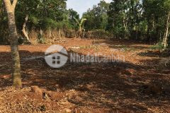 Bán 2 lô liền kề giá đầu tư trục quốc lộ 1426 5x30m 595 triệu