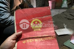 Mảnh đất vàng vừa tròn 500m2 sale chỉ trong hôm nay