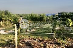 Chính chủ cần bán đất long bình biên hòa đồng nai, giá 280 triệu lô 100m2