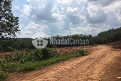 Tôi cần bán mảnh đất cạnh nhà với diện tích 1944m2